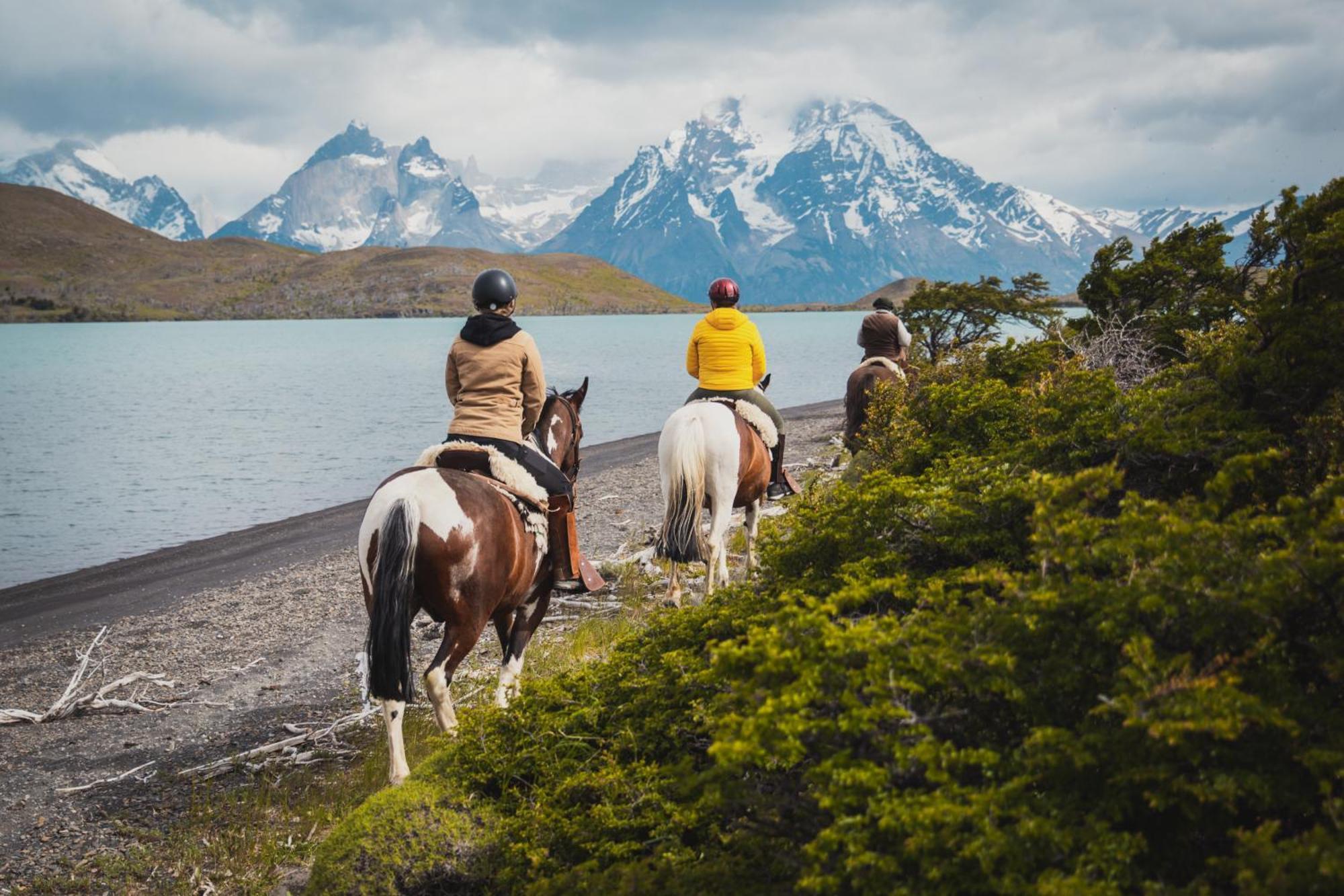 Lazo Torres del Paine National Park